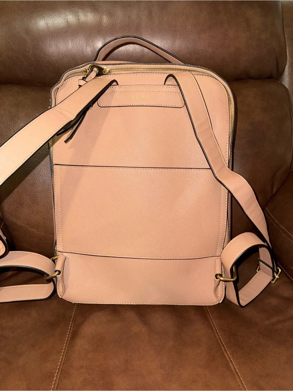 Calpak sleek backpack